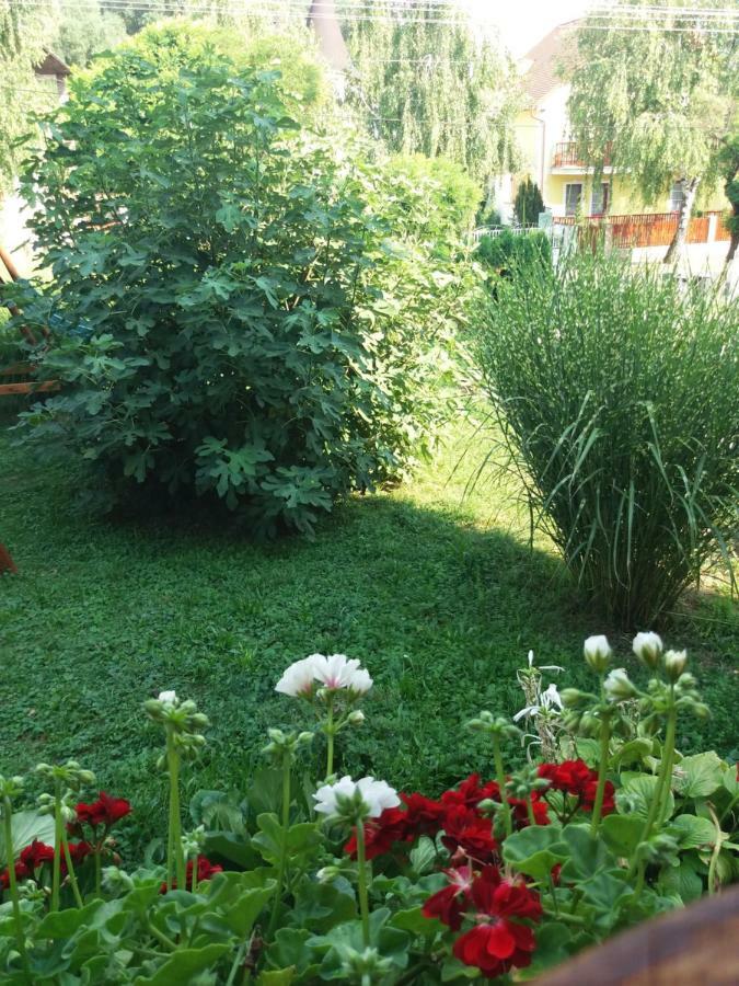 Tuecsoek Apartman Hévíz Kültér fotó